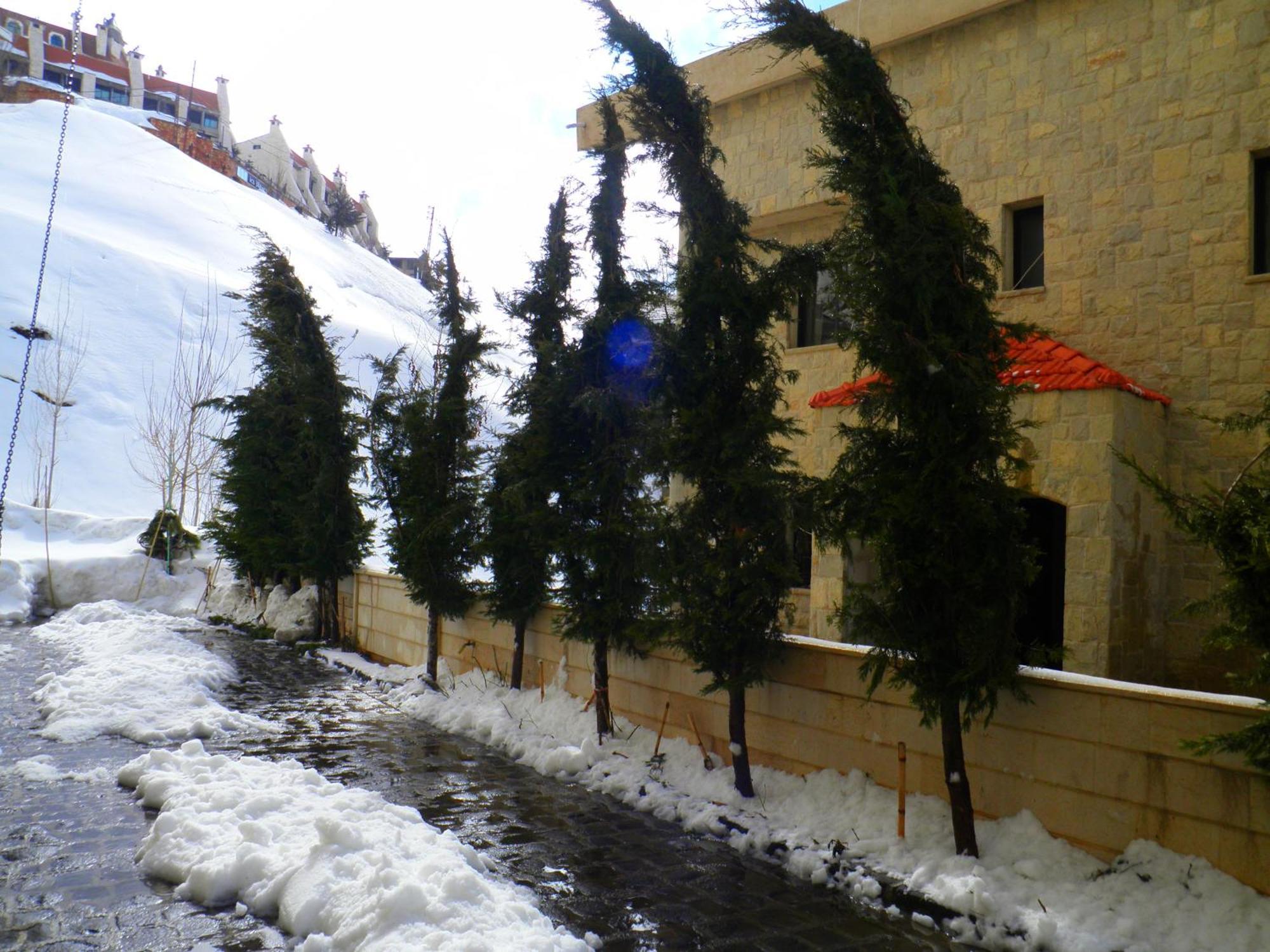 Stone Chalets Faraya Luaran gambar