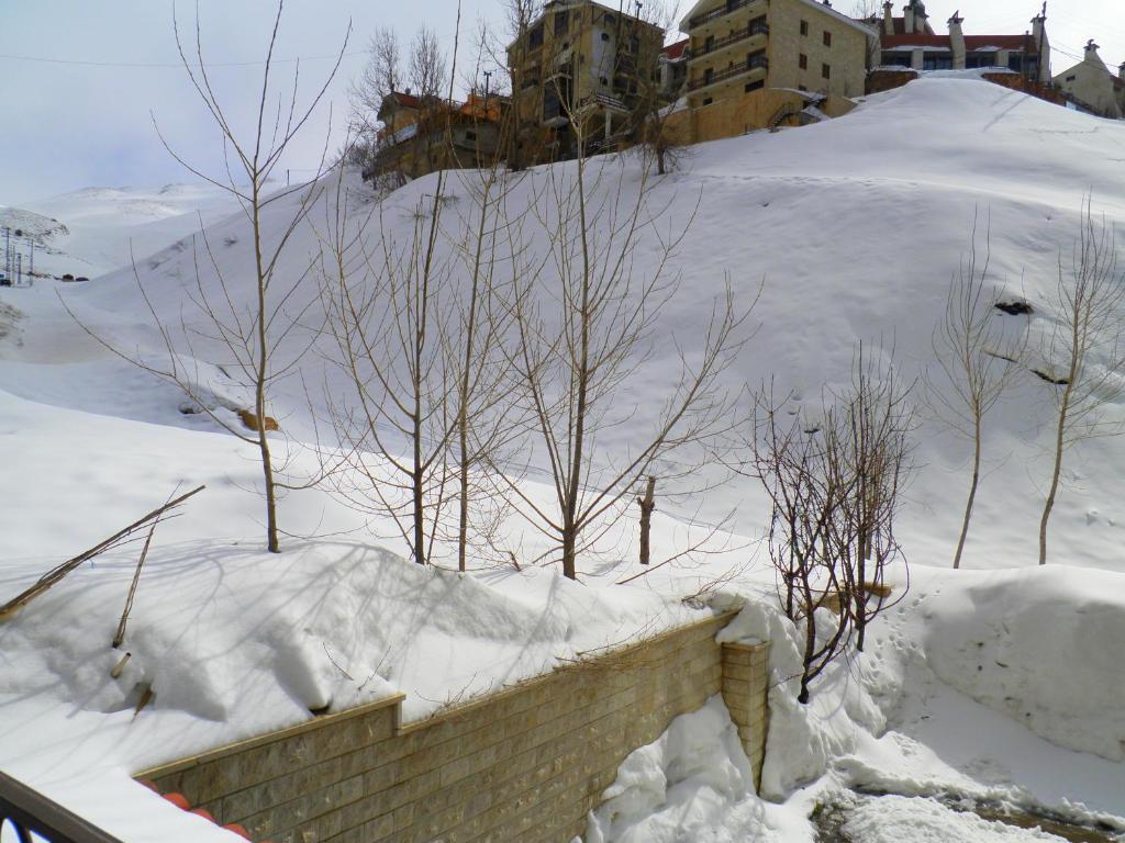 Stone Chalets Faraya Bilik gambar