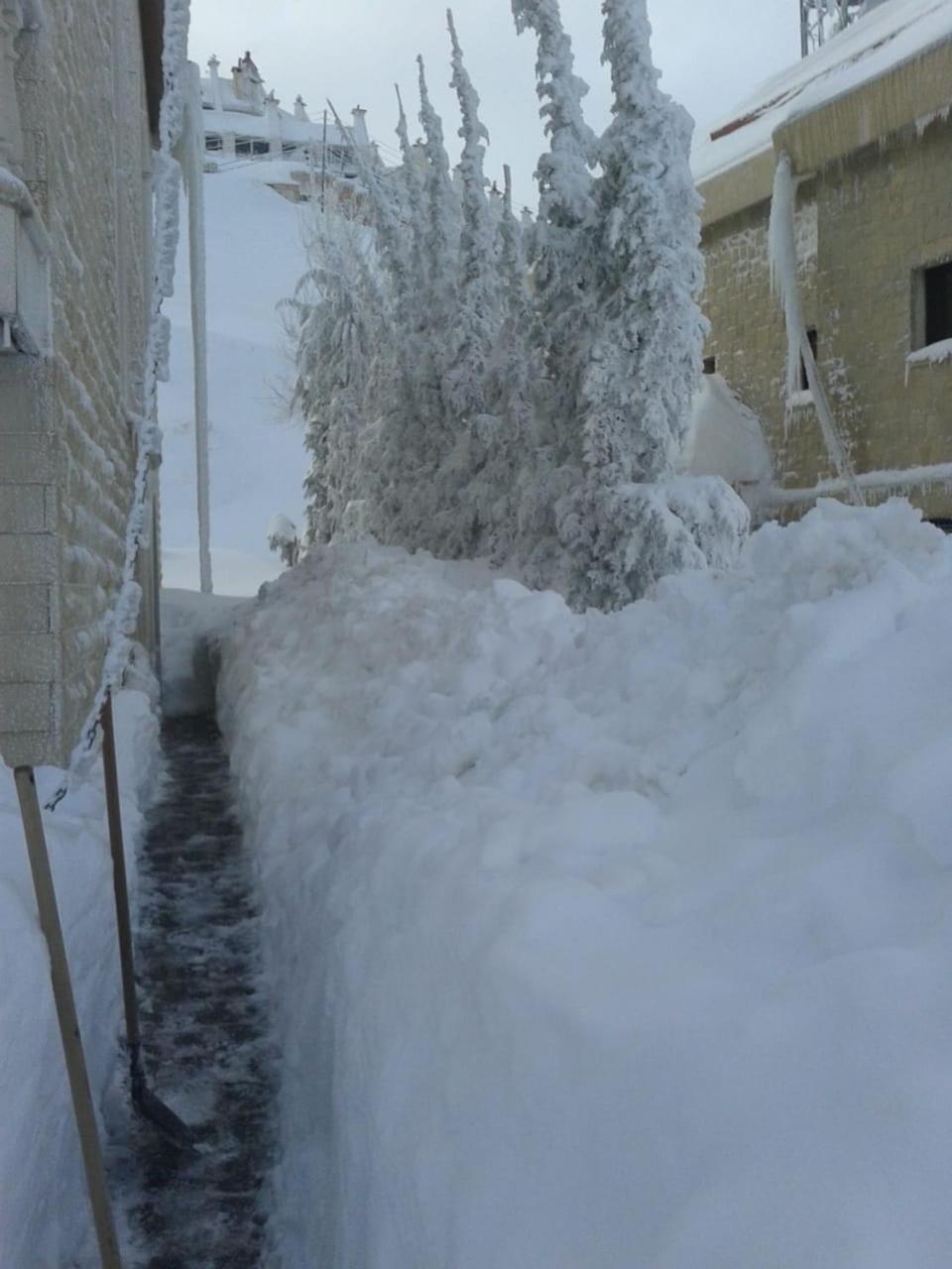 Stone Chalets Faraya Luaran gambar